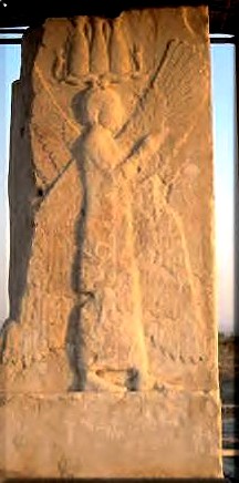 Cyrus Wikipedia